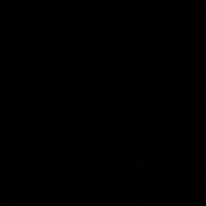 Meet your Posher, Alisha